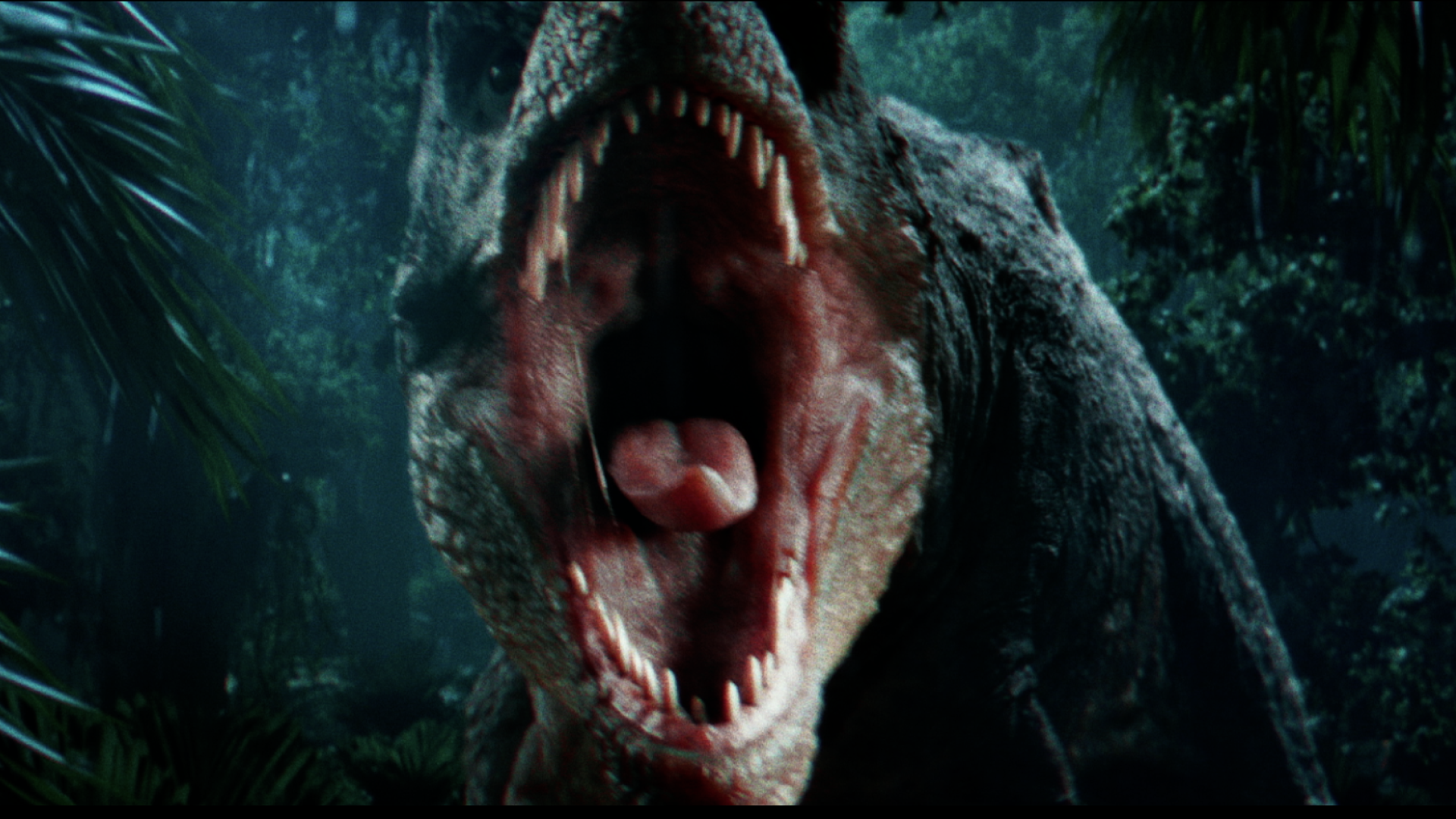 ALL ANIMAL™ / T-Rex